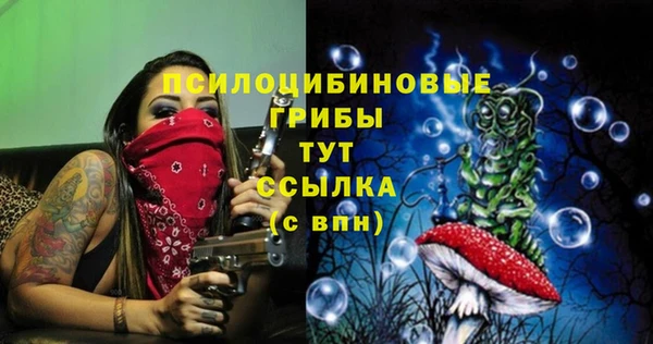 ALPHA PVP Володарск