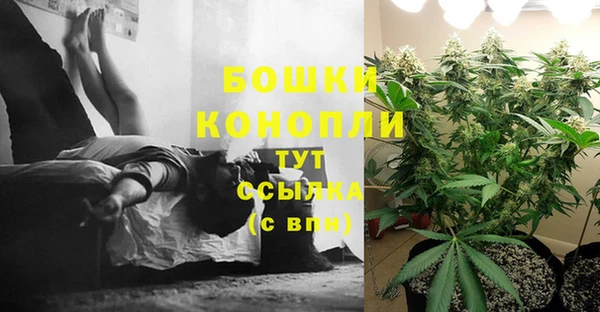 ГАЛЛЮЦИНОГЕННЫЕ ГРИБЫ Волосово